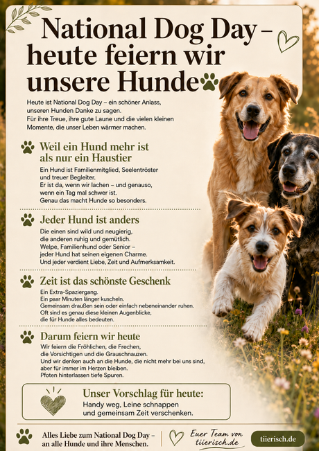 National Dog Day- heute feiern wir unsere Hunde