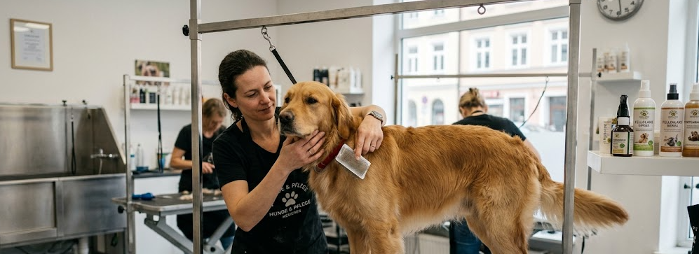 Hund · Pflege & Gesundheit