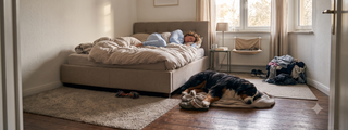 Hund · Zuhause & Schlafen