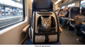 Transport & Unterwegs
