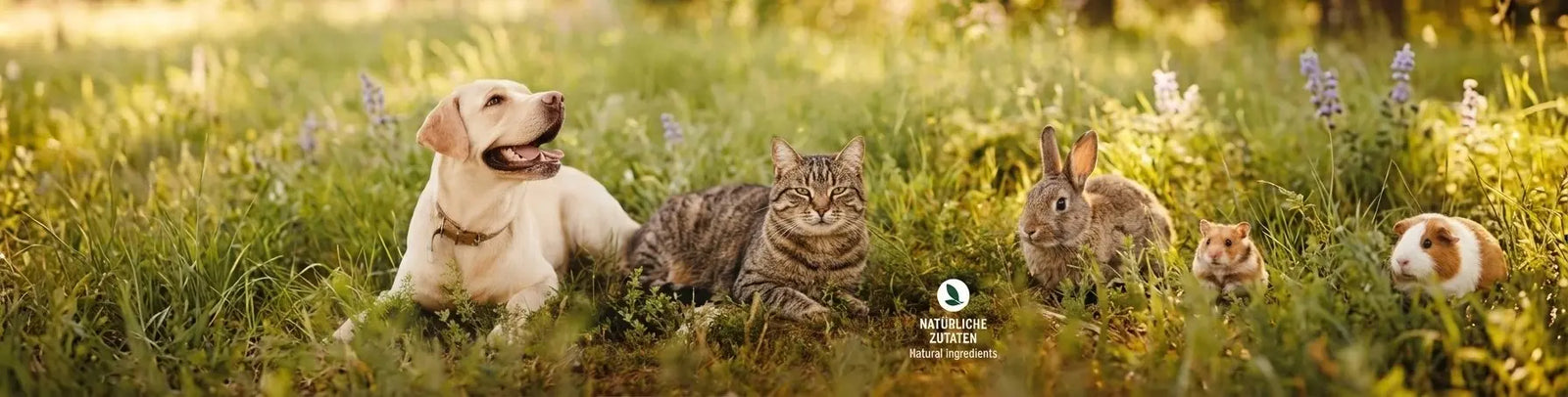 Bachblüten für Hunde & Katzen - Beruhigung und Wohlbefinden