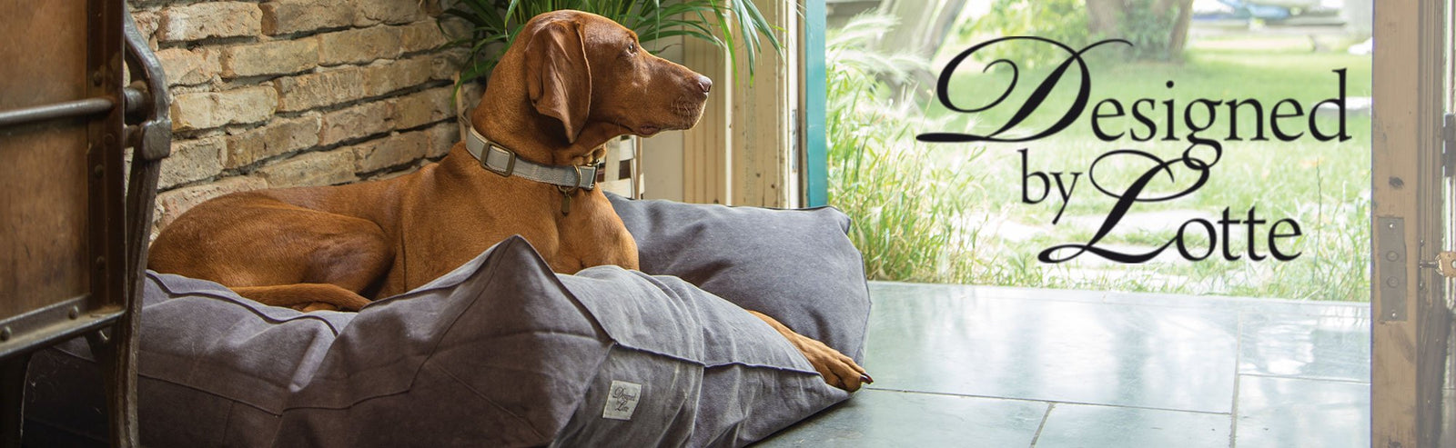 Designed By Lotte Hundezubehör