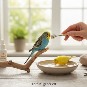 Pflege & Hygiene
