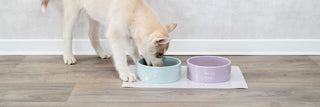Hundenäpfe Futterspender Futterautomaten für Hunde im Shop online bestellen