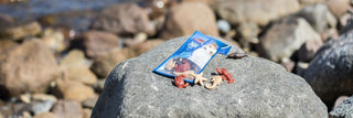 Leckerlis für Hunde: Gesunde Hundesnacks günstig online kaufen