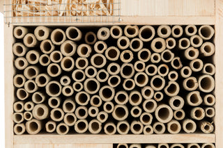 Insektenhotels und Insektentränken kaufen