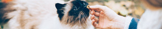 Katzenleckerlies und Katzensnacks Shop