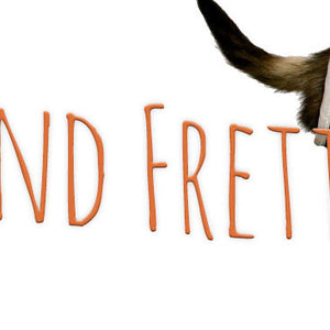 Ratten & Frettchen
