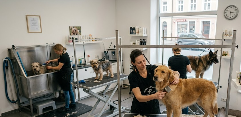 Hundepflege & Hygiene Zubehör günstig bestellen