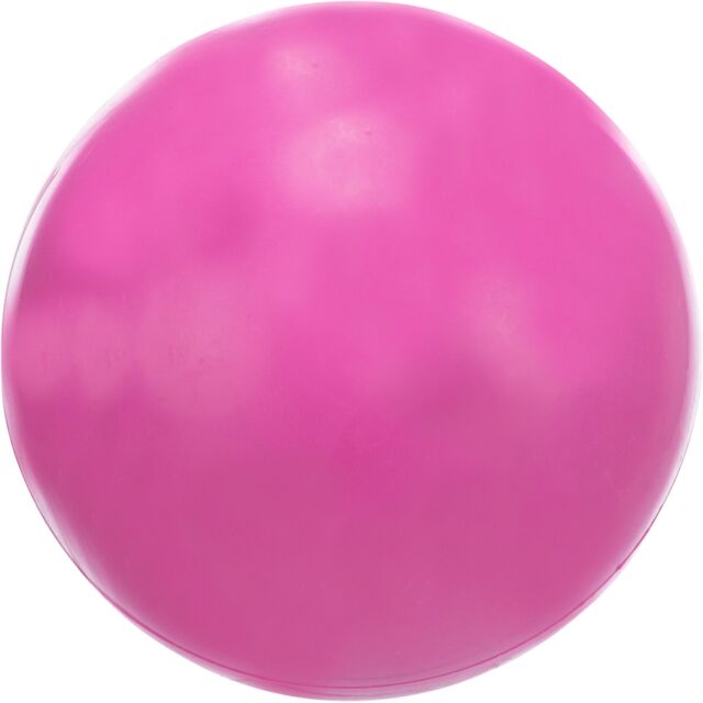 Hundeball aus Gummi