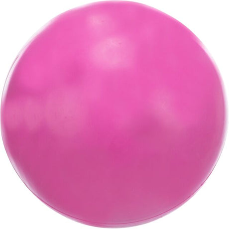 Hundeball aus Gummi
