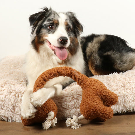 George Teddystoff Hundespielzeug mit Tau & Plüsch | D&D Home – L 52x20x10 cm