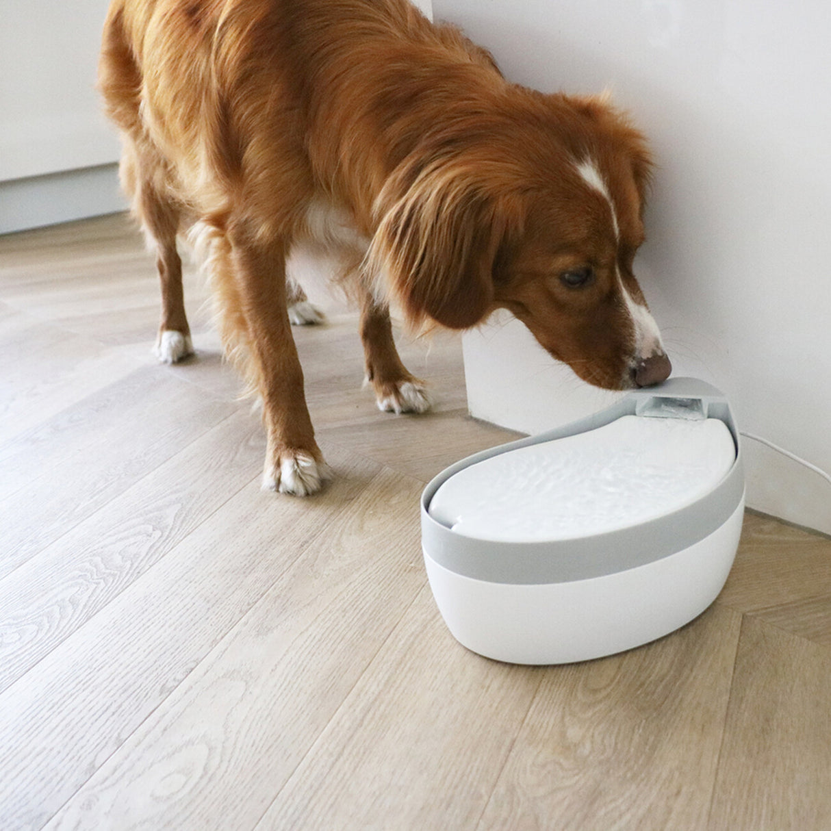 Trinkbrunnen mit Keramikoberschale Maya 1,8L – 1,8L - weiss/grau
