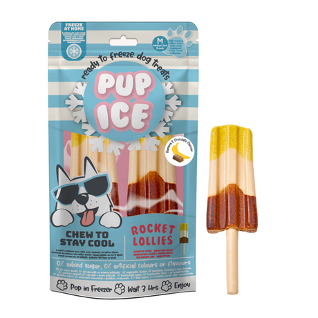 Pup Ice Dog Snack Rocket Lollies – Banana & Chocolate, 2 Stück