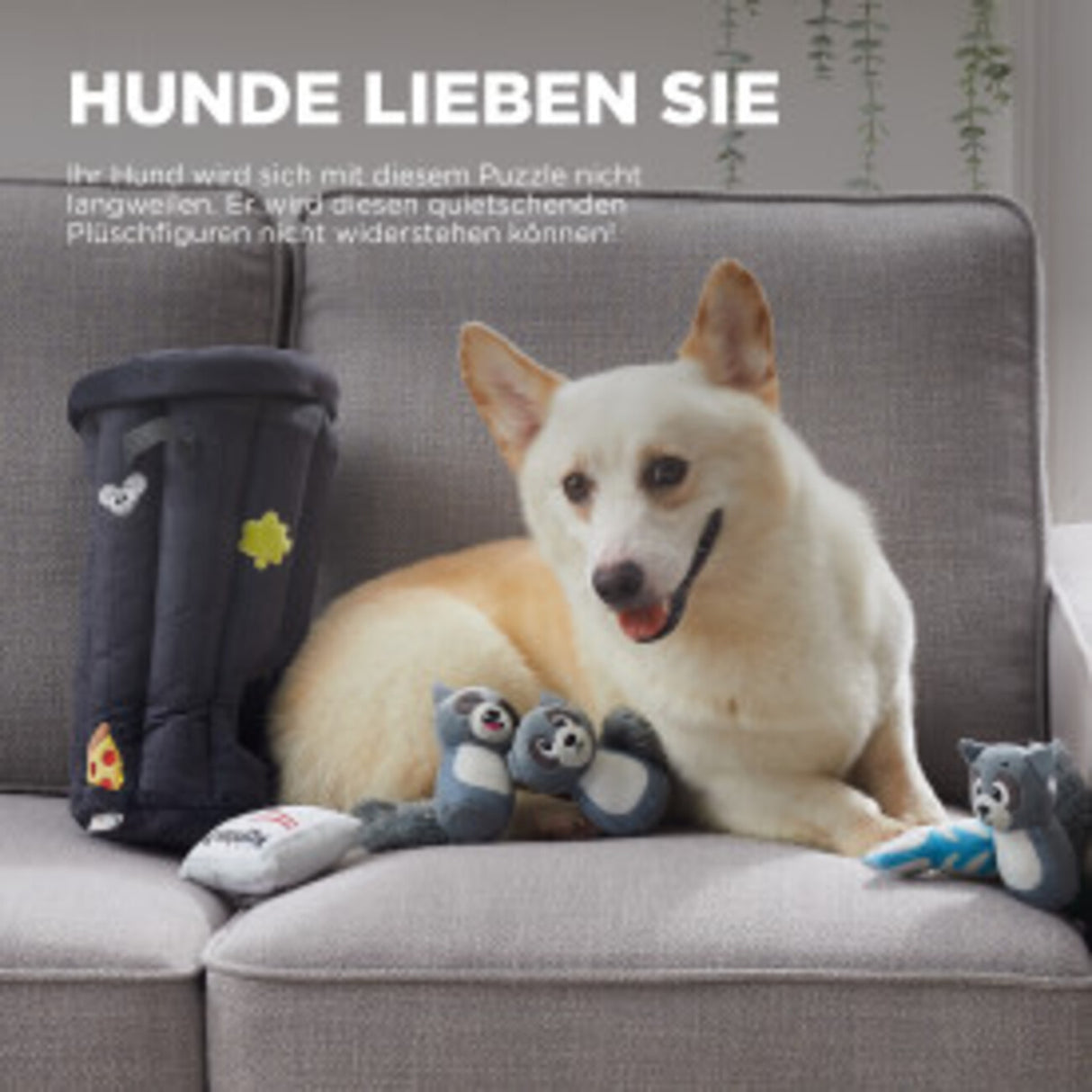 Hide-A-Racoon Waschbär Hundespielzeug – X-Large