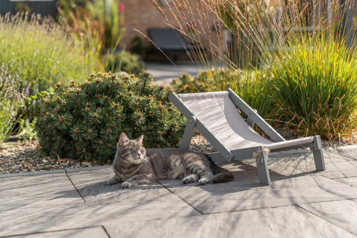 TRIXIE Outdoor Strandstuhl Strong Edition für Katzen – Dein Sonnenplatz im Grünen