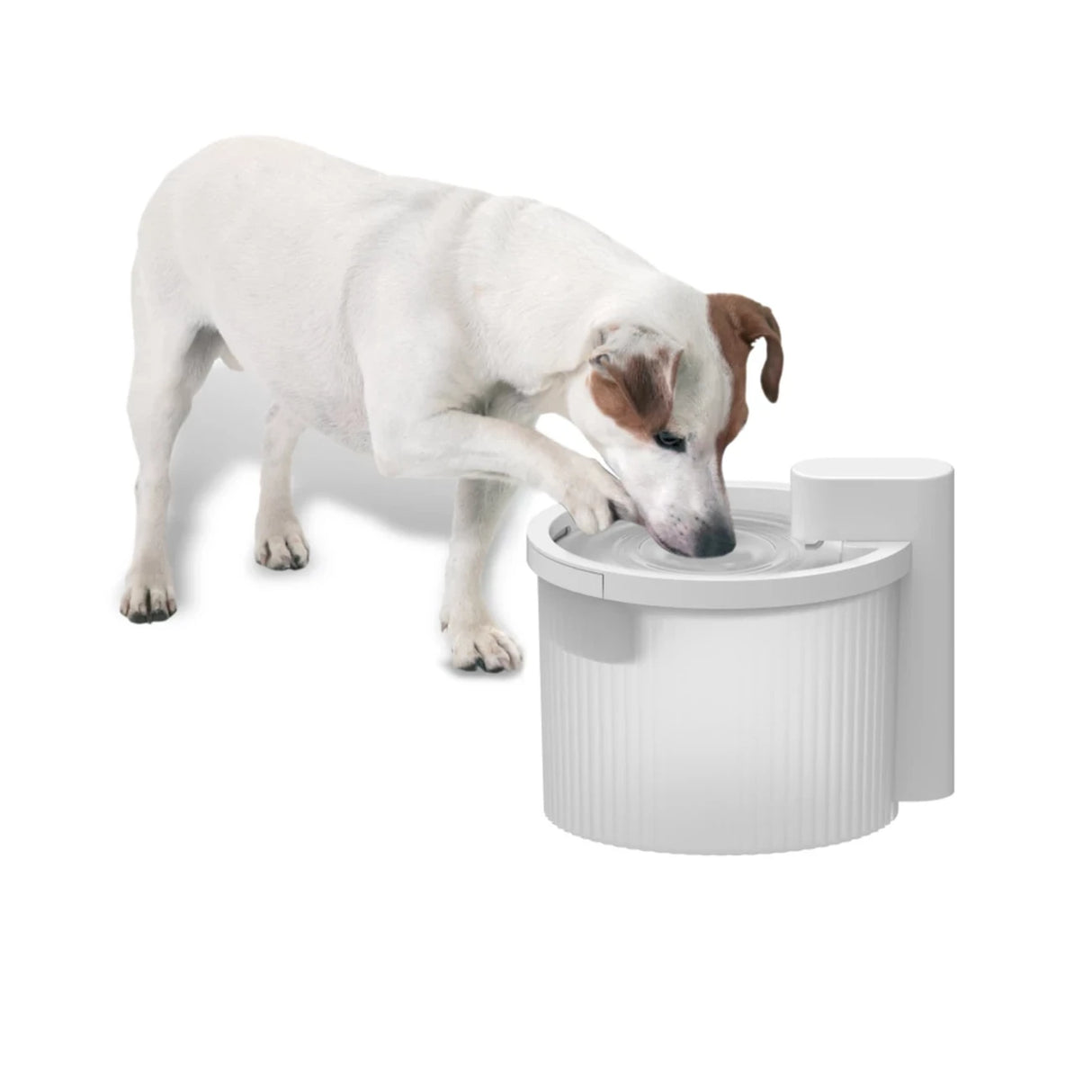Lifestyle 4 Pets Trinkbrunnen Kabellos – Trinkbrunnen