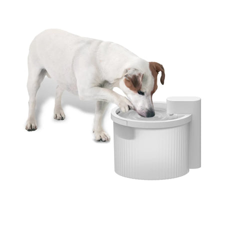 Lifestyle 4 Pets Trinkbrunnen Kabellos – Trinkbrunnen