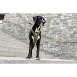 All New Belka Harness Air-Mesh Comfort für Hunde