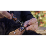Curli Apple Leather Verstellbare Hundeleine – Nachhaltig & Stylish