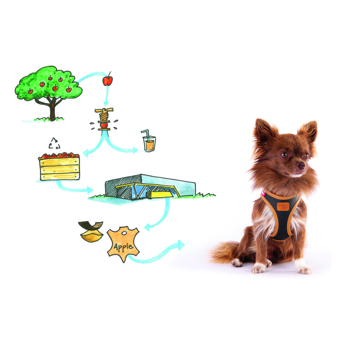 Curli Apple Leather Clasp Vest Geschirr für Hunde