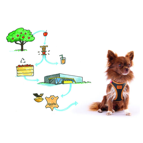 Curli Apple Leather Clasp Vest Geschirr für Hunde