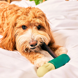 BullySafe Bully Stick Halter – Sicherer & Langlebiger Kauspaß für deinen Hund