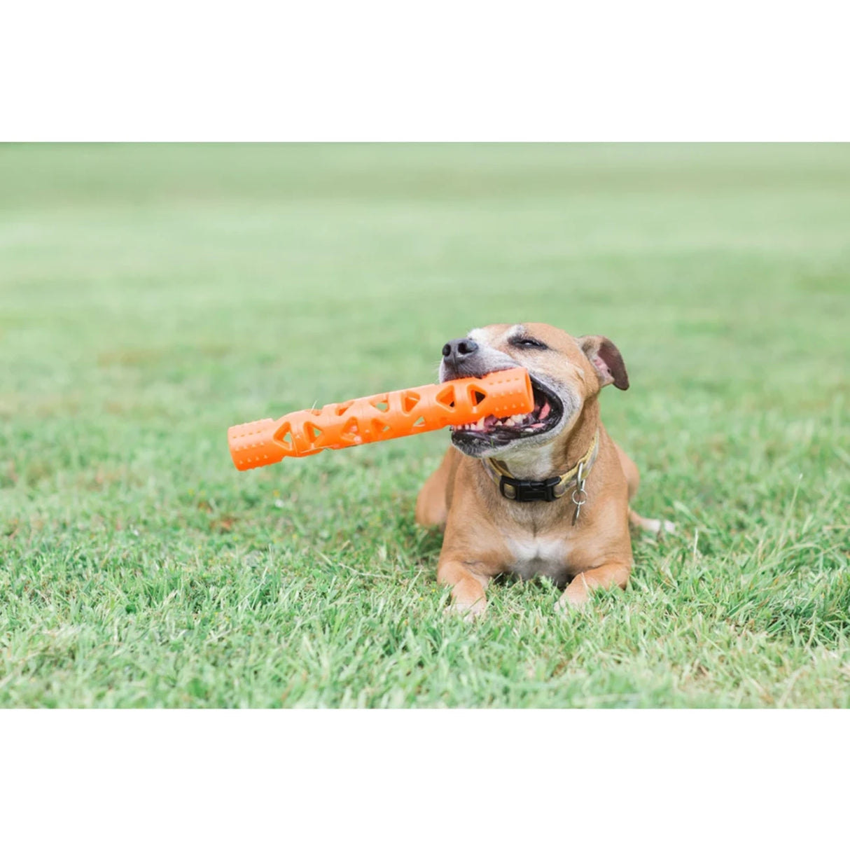 Chuckit! Breathe Right Air Fetch Stick Hundespielzeug