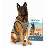 CoolPets Kühlweste für Hunde – Kälteschutz für Outdoor & Sommer