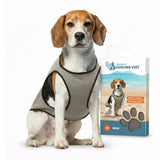 CoolPets Kühlweste für Hunde – Kälteschutz für Outdoor & Sommer