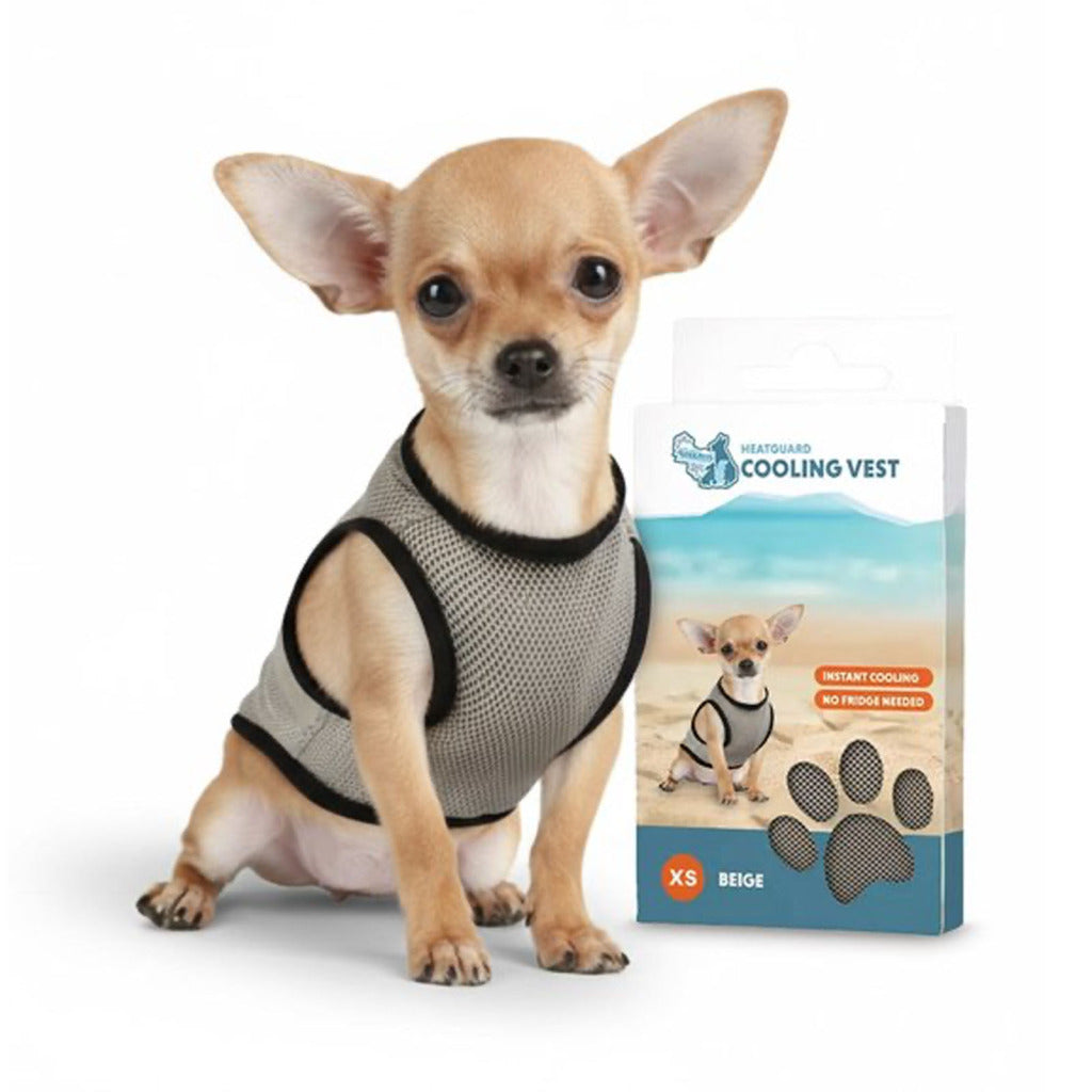 CoolPets Kühlweste für Hunde – Kälteschutz für Outdoor & Sommer