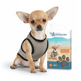 CoolPets Kühlweste für Hunde – Kälteschutz für Outdoor & Sommer