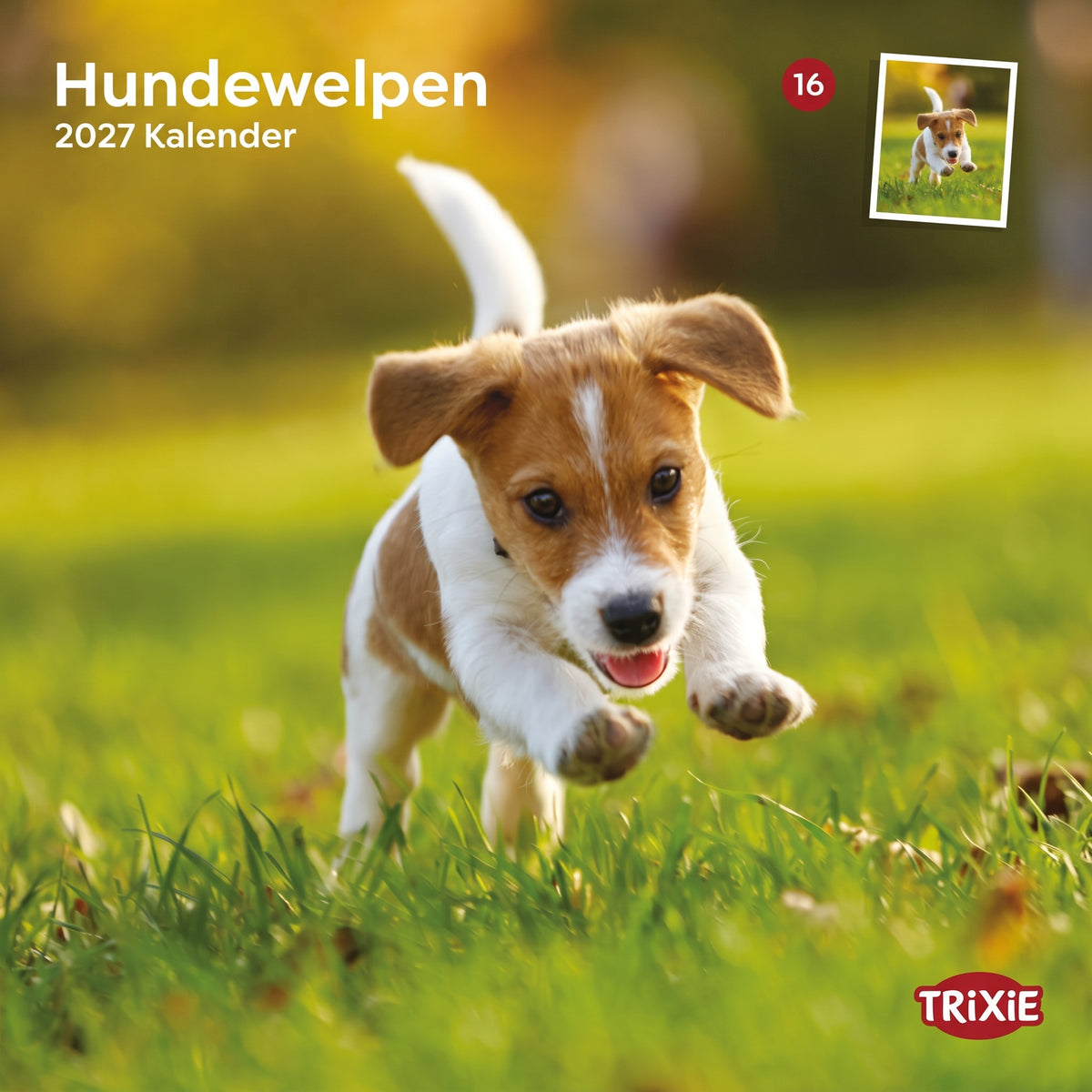 TRIXIE 2027 Kalender Hundewelpen