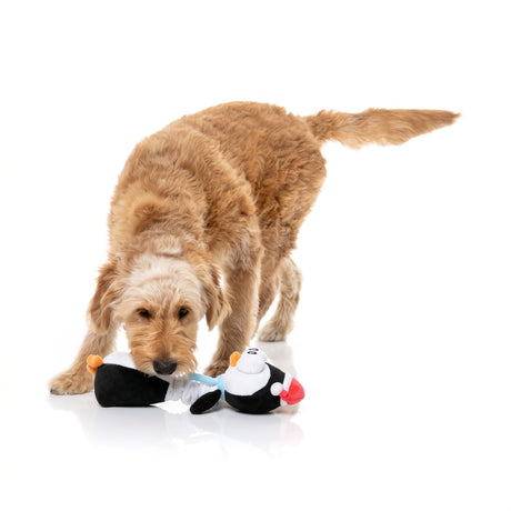 FuzzYard Finneck the Penguin – Weihnachtsspielzeug für Hunde