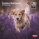 TRIXIE 2027 Kalender Golden Retriever