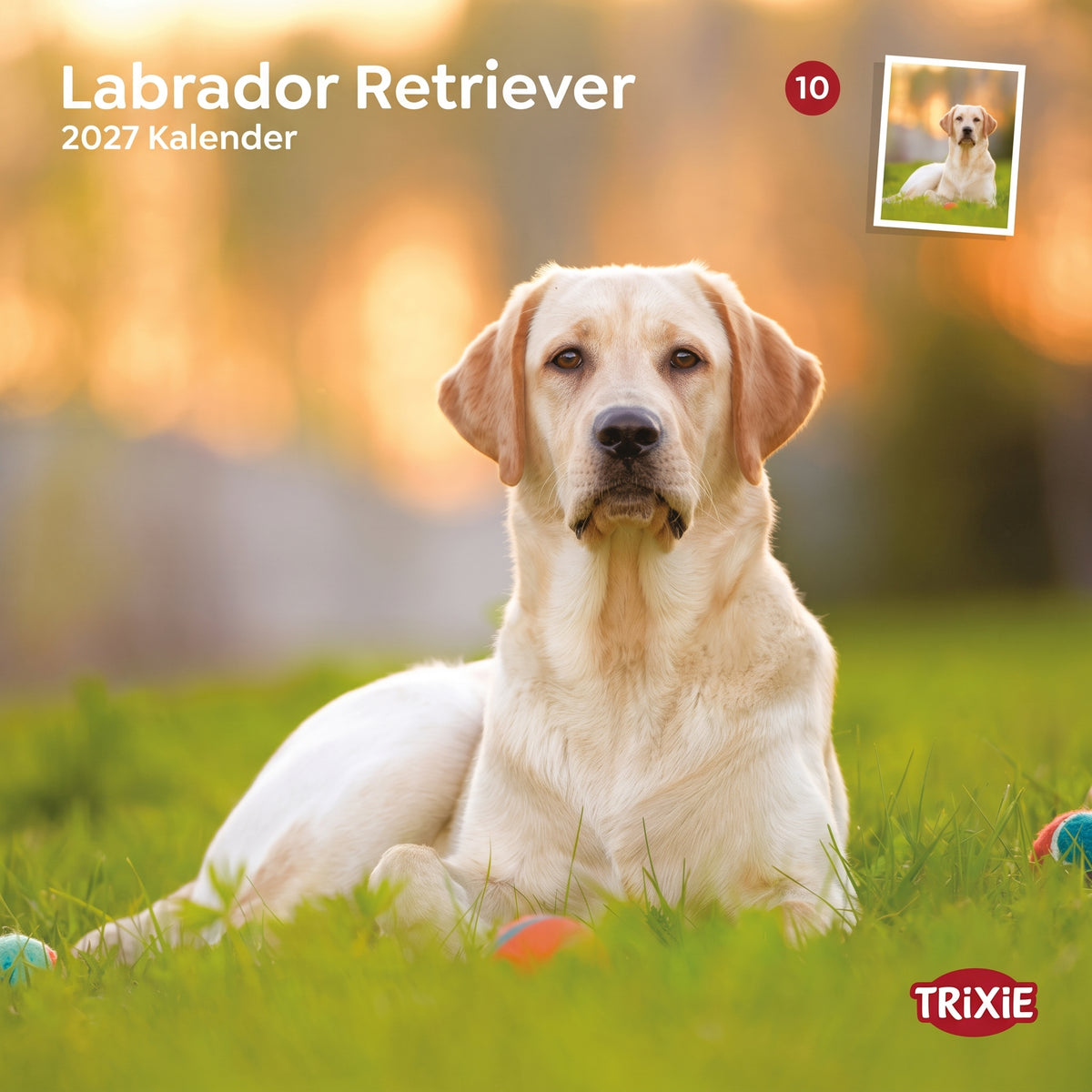 TRIXIE 2027 Hundekalender Labrador Retriever