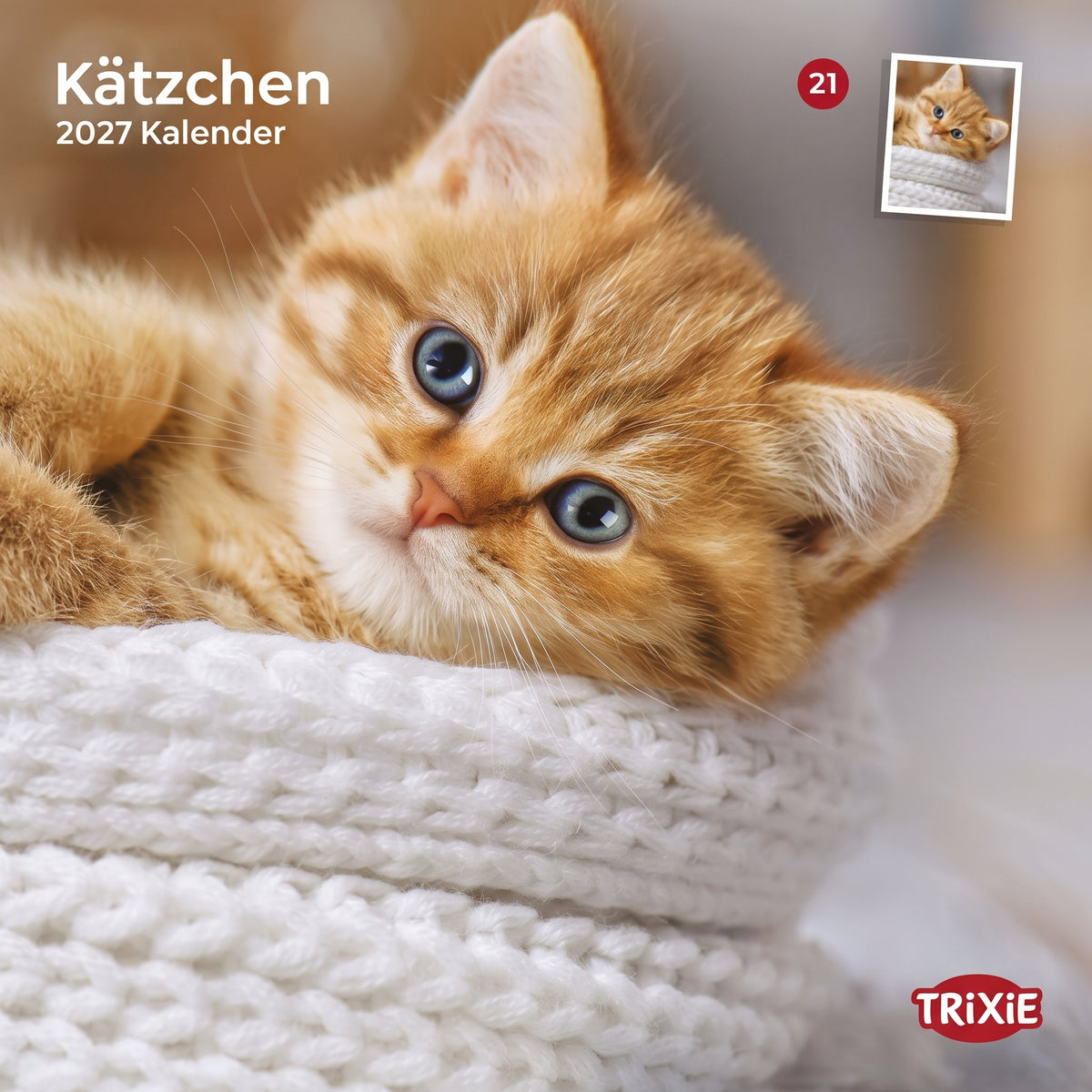 TRIXIE 2027 Kalender Kätzchen