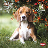 TRIXIE 2027 Hundekalender Beagle