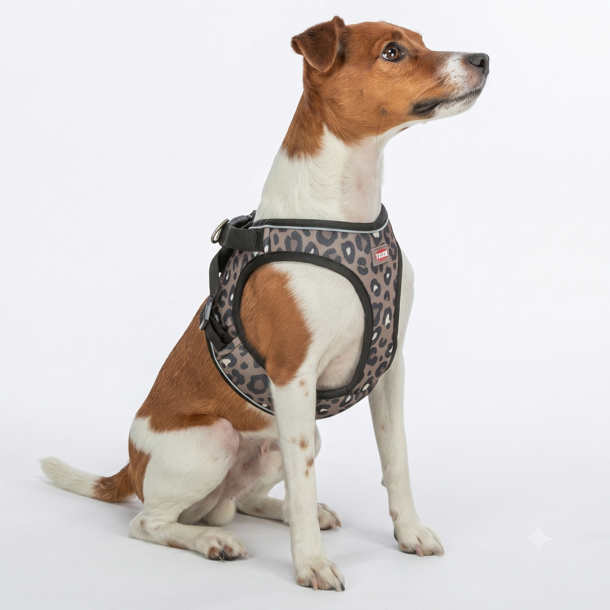 Premium UrbanVest Hundegeschirr im Leo Style limited Edition – Komfort & Sicherheit für Deinen Liebling