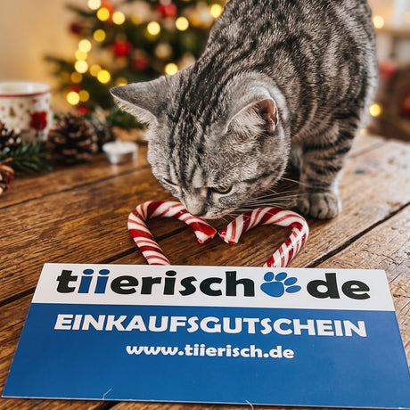 tiierisch.de Geschenkgutschein für Haustierbesitzer – Einkaufsgutschein 10–200€