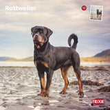 TRIXIE 2027 Kalender Rottweiler