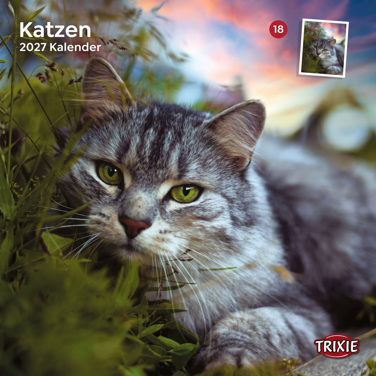 TRIXIE 2027 Kalender Katzen