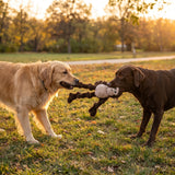 KONG Knots Monkey – Plüsch-Affe mit Knotenseil für Hunde
