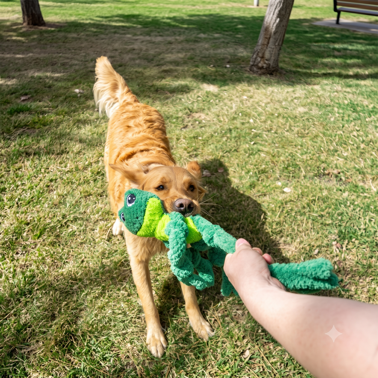 KONG Knots Frog L/XL – Plüsch-Hundespielzeug mit Seilskelett & Quietscher | 45 cm