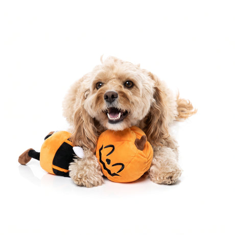FuzzYARD Michael Gourdan – Halloween-Hundespielzeug