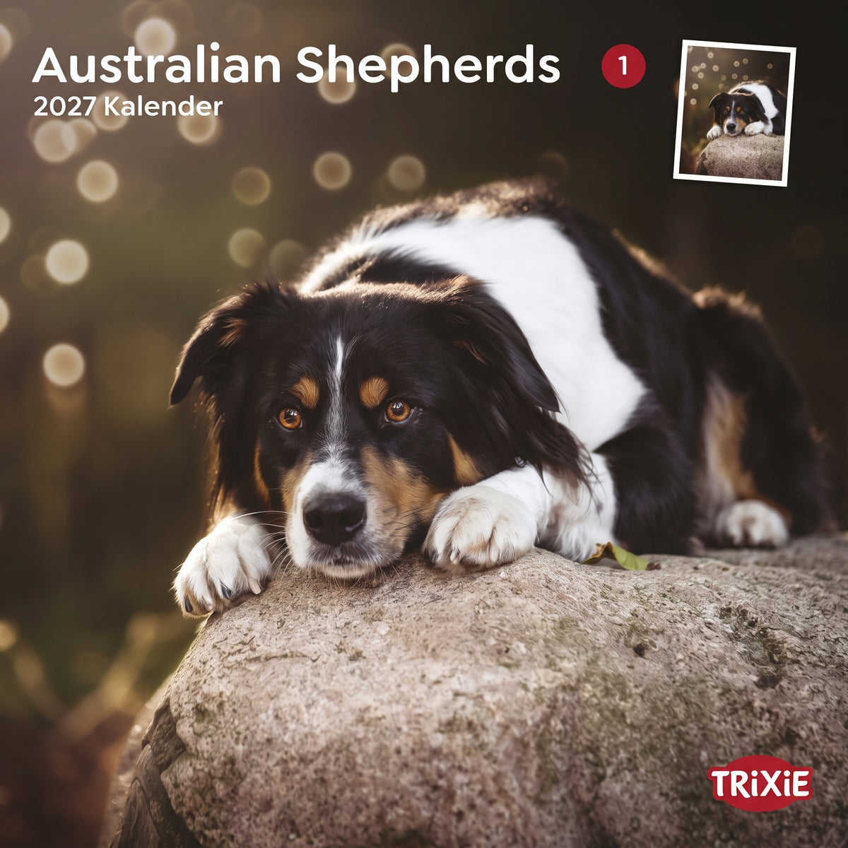 TRIXIE 2027 Kalender Australian Shepherd