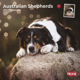 TRIXIE 2027 Kalender Australian Shepherd