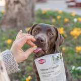 TRIXIE Cheese Triangles mit Obst & Gemüse – Vegetarischer Hundesnack & Leckerbissen