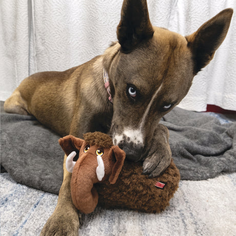 KONG Toughz – Plüsch-Hundespielzeug mit Quietscher | Braun & Rot