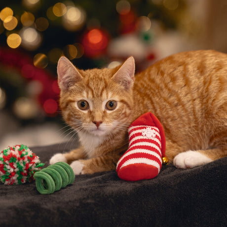 Xmas Katzenspielzeug Weihnachtsspaß 3-teilig